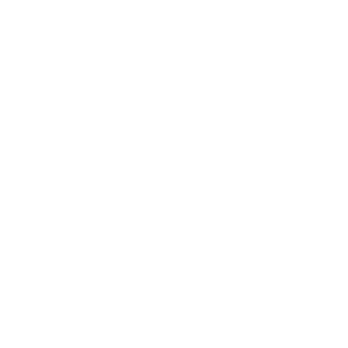 logo bullet